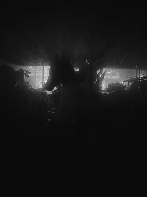 People gathered in a dark atmospheric cultural space