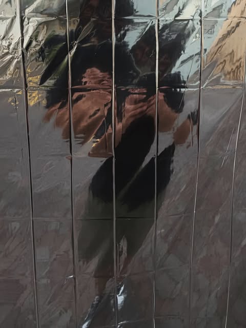 A person reflected across a segmented metallic art-space wall