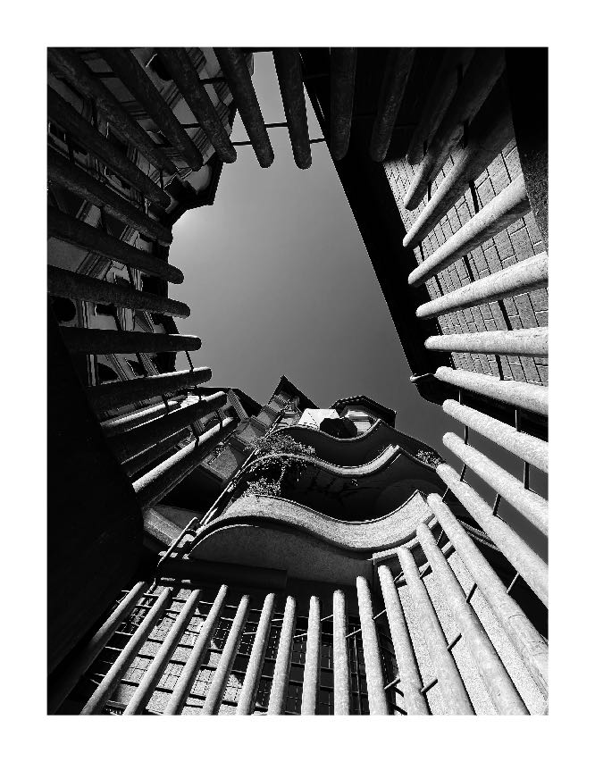 Looking Up by Ben Taleb