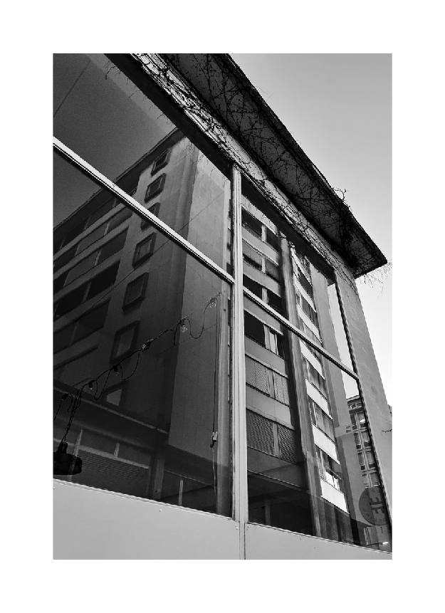 Reflection Study by Ben Taleb